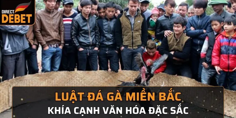 luật đá gà miền Bắc Debet